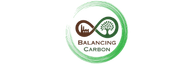 Balancing Carbon